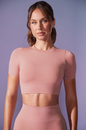 Purple Women's Bo And Tee Define Luxe Baby Crop Tops | 30412-MOYL